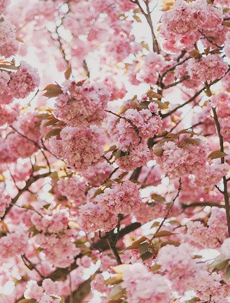 Mother’s Day: Last Minute Gift Guide