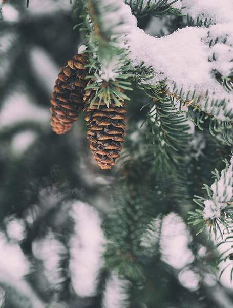 Christmas Jumpers? No Thanks. - THE STYLE INSIDER