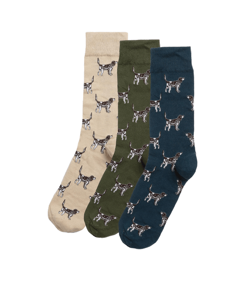 Pointer Dog Socks Gift Box - Multi