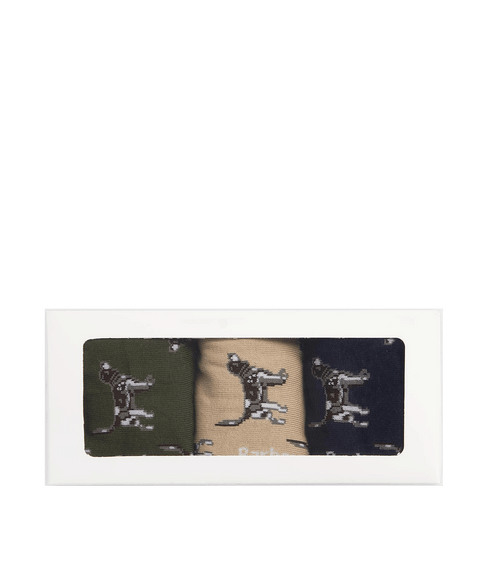 Pointer Dog Socks Gift Box - Multi