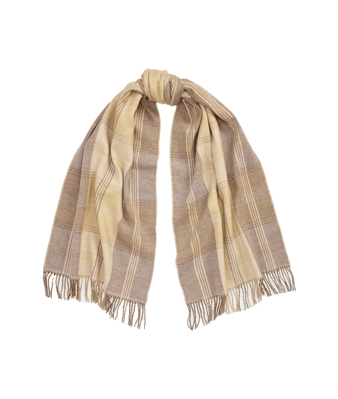 Plaid & Logo-motif Reversible Scarf - Brown