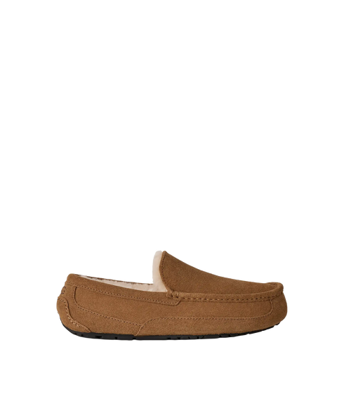 Ascot Slippers - Chestnut