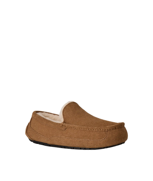 Ascot Slippers - Chestnut
