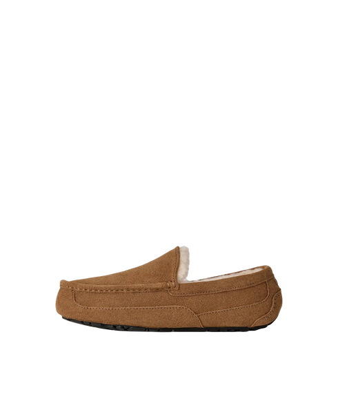 Ascot Slippers - Chestnut