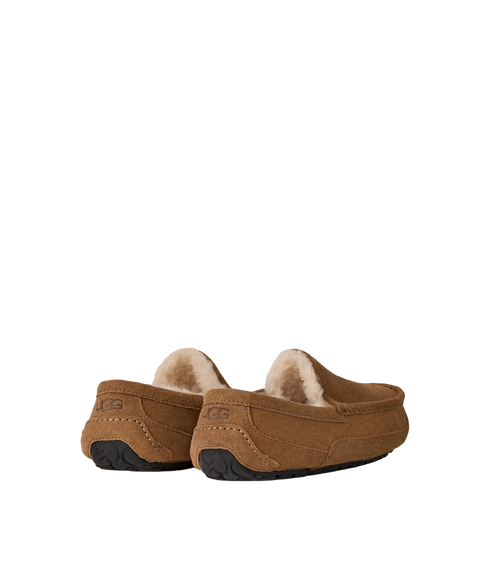 Ascot Slippers - Chestnut