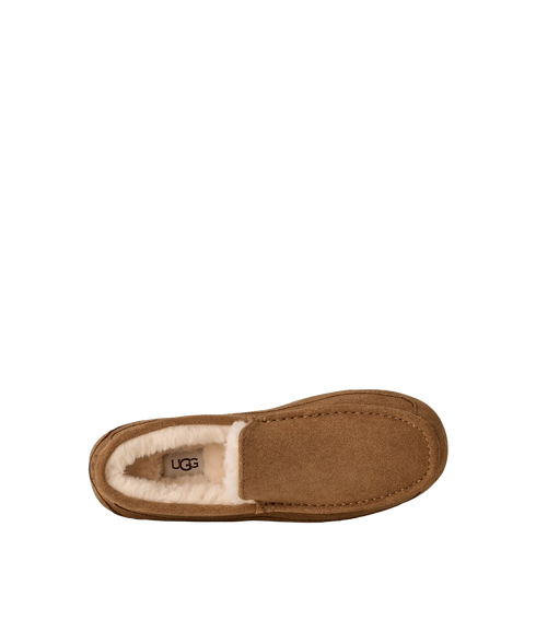 Ascot Slippers - Chestnut