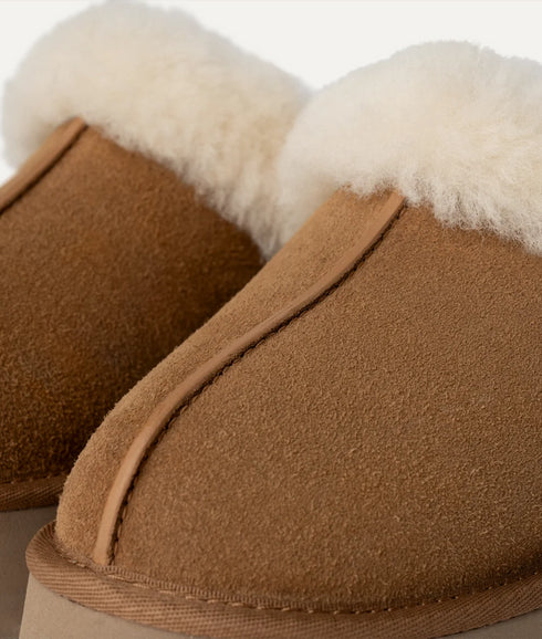 Women's Disquette Slipper - Brown