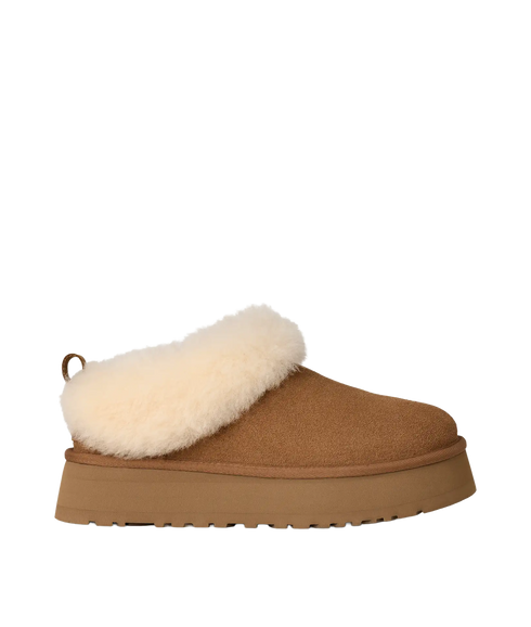 Tazzelle - Chestnut