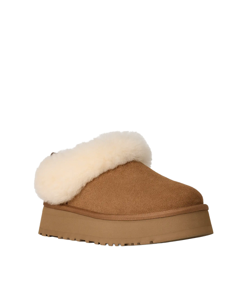 Tazzelle - Chestnut