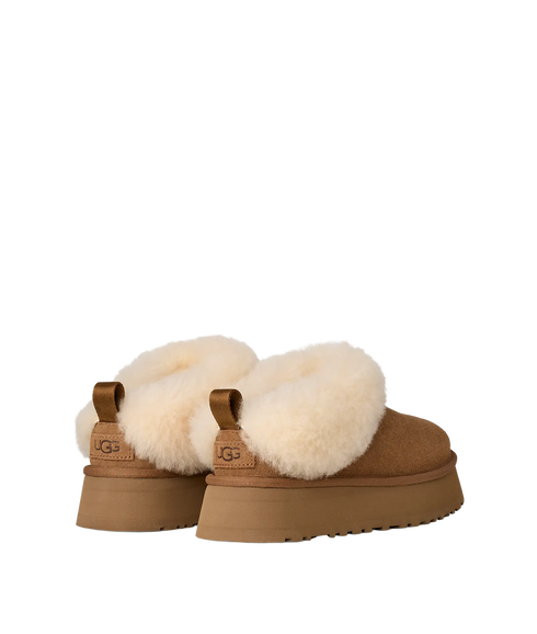 Tazzelle - Chestnut