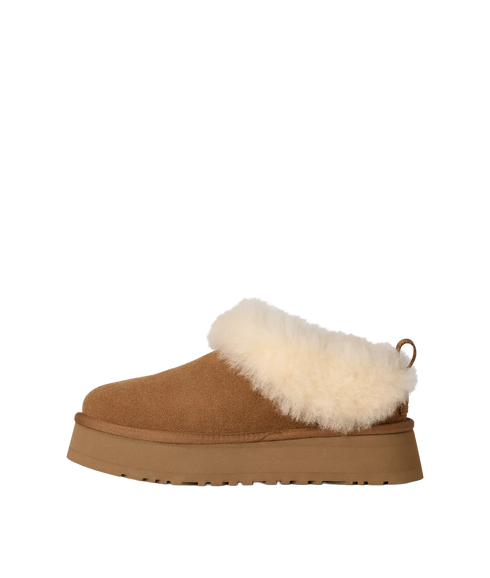 Tazzelle - Chestnut