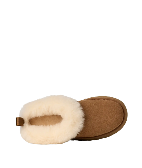 Tazzelle - Chestnut