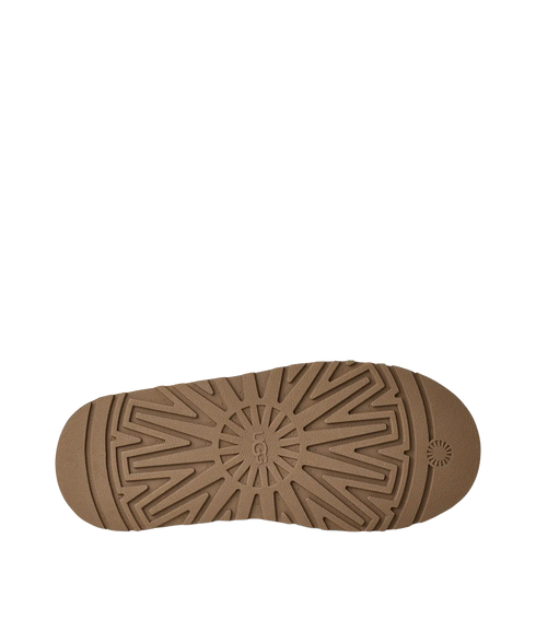 Tazzelle - Chestnut