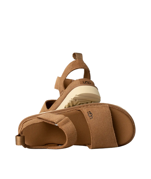 Goldengaze Slide - Chestnut