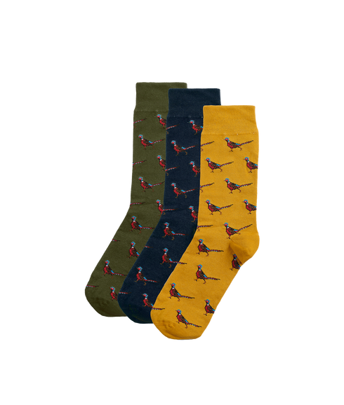 Pheasant Socks Gift Box - Forest Mist