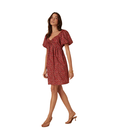 Joanna Mini Dress Ina Ditsy - Red