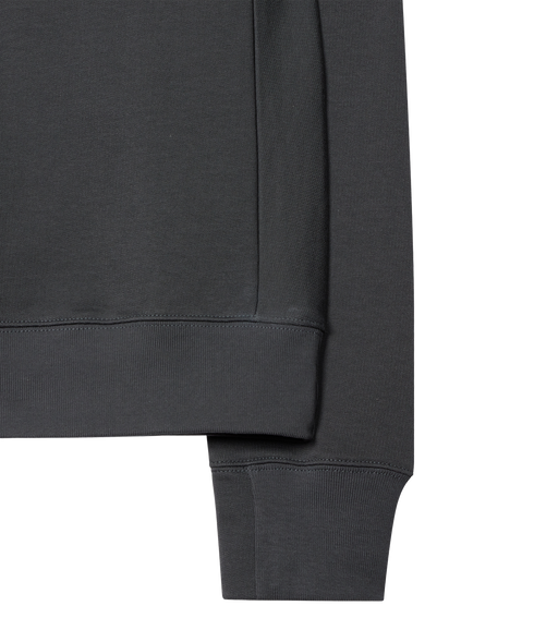 Reg Fit Sweatshirt Zebra - Grey