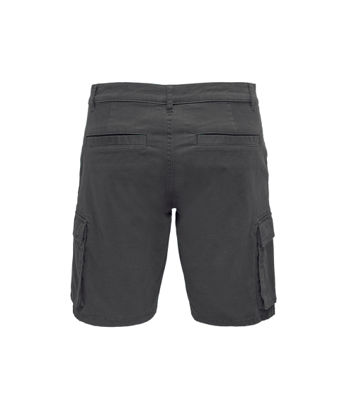 Cam Regular Fit Shorts - Grey