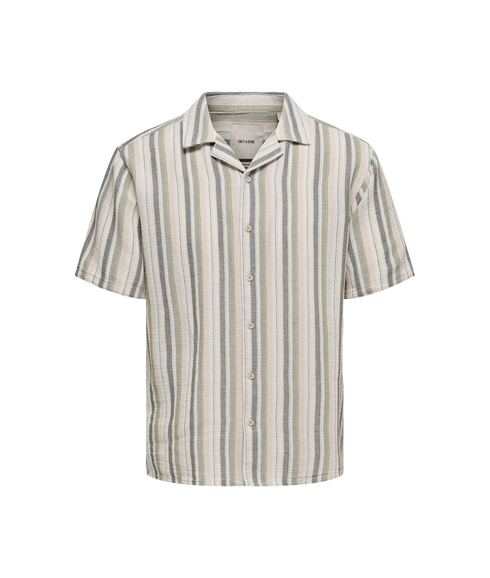 Trev Life Reg Stripe Ss Shirt - Green