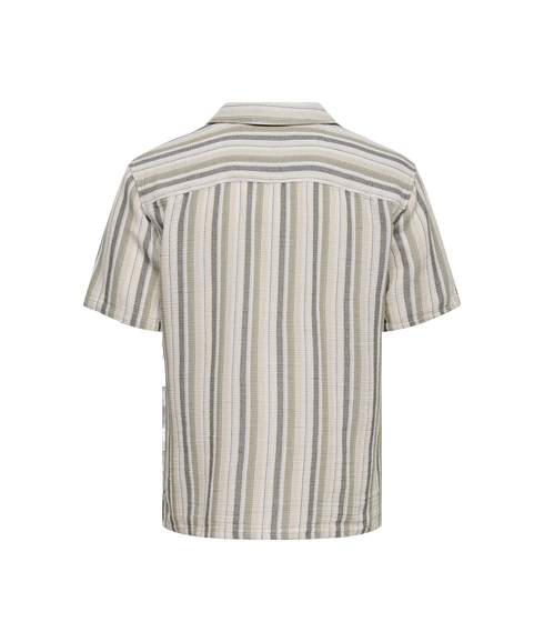 Trev Life Reg Stripe Ss Shirt - Green