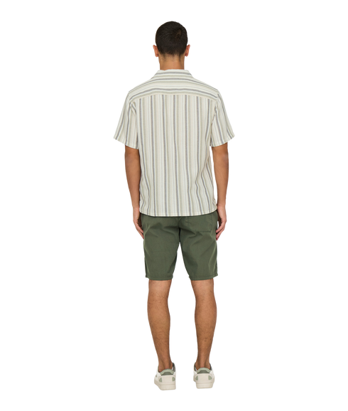 Trev Life Reg Stripe Ss Shirt - Green