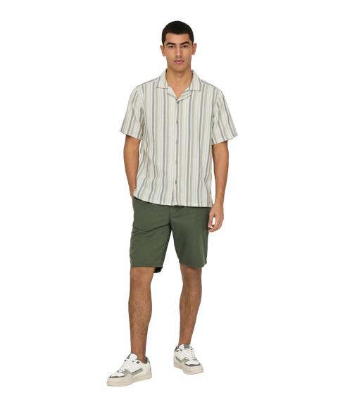 Trev Life Reg Stripe Ss Shirt - Green