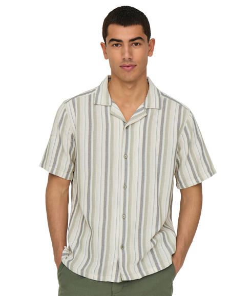 Trev Life Reg Stripe Ss Shirt - Green