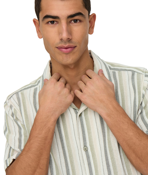 Trev Life Reg Stripe Ss Shirt - Green