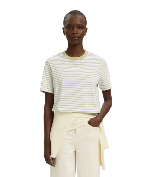 Essential Ss Striped Boxy Tee - Green