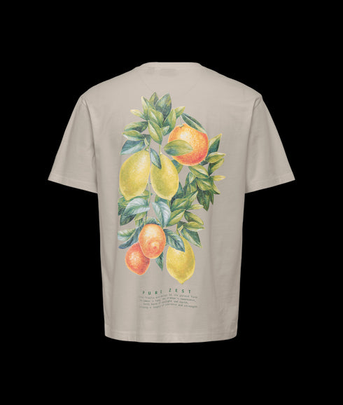 Fred Life Rlx Ss Print Tee - Grey