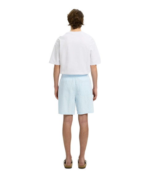Regstuart Seersucker Shorts - Blue