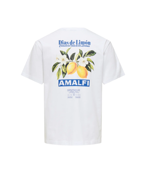 Fred Life Rlx SS Print Tee- White