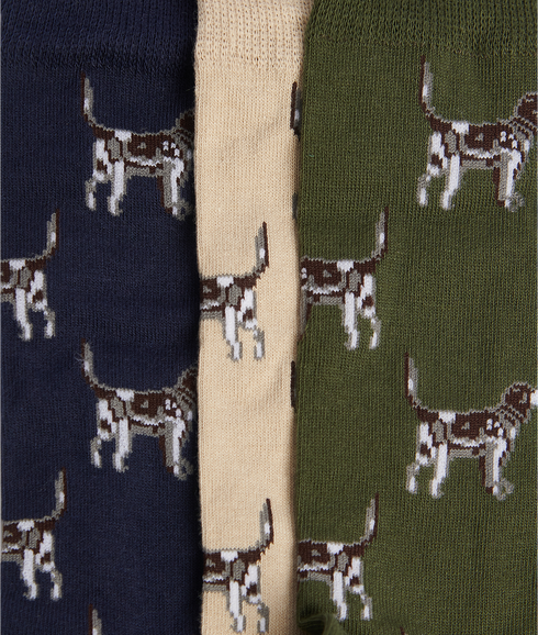 Pointer Dog Socks Gift Box - Multi